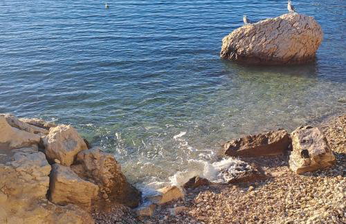 Apartments Marta - Foto 73