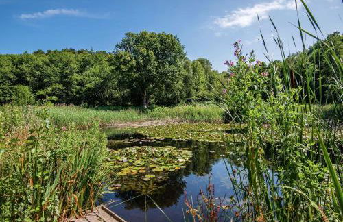 Robin's Retreat - Photo 31