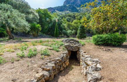 Cortijo y Estudio Montecorto by Ruralidays - Foto 37