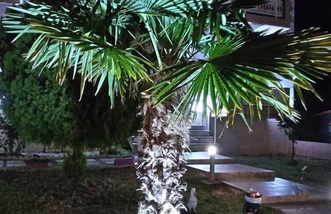 Hotel La Strada - Foto 50