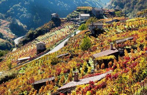 Casa Manuela - Foto 33