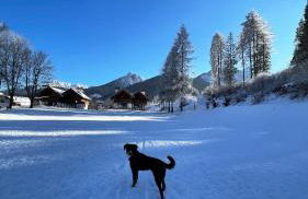 Golfchalet 3 confini - Foto 16