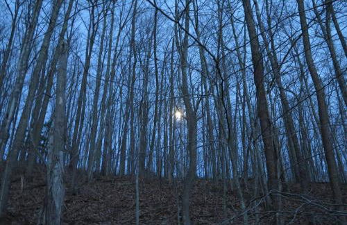 Alice Rocks - Pet Friendly, Firepit, WiFi - Foto 22