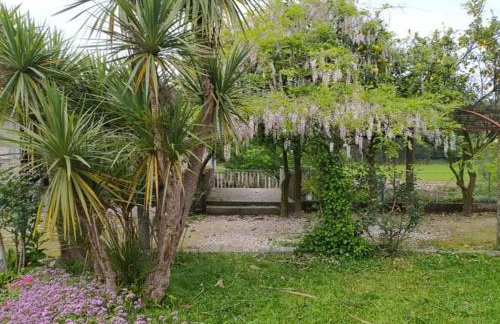 Casa de Sta Comba - Foto 18