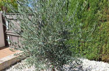 Extraordinaria Villa con piscina y chimenea - Photo 22