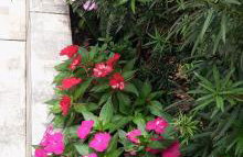 Casa bem te vi - Foto 29