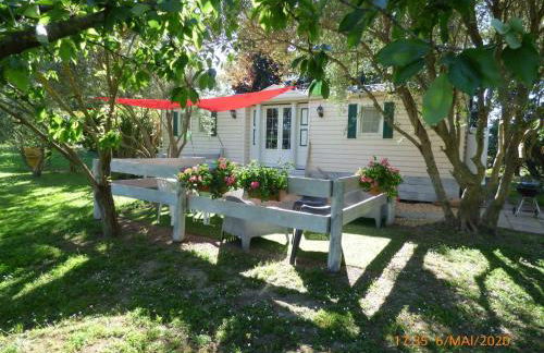 Mas Maurane - L'Olivier avec SPA privé aux portes d'ARLES - Foto 8