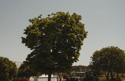 Casinhas de Santo António - Foto 26