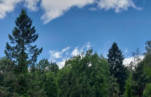 Apartment in Armsfeld With Pool - Foto 59