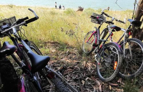 Rio d'Azenha - Country House - Foto 26