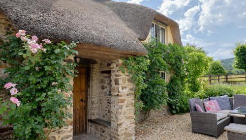 Garden View - Photo 3