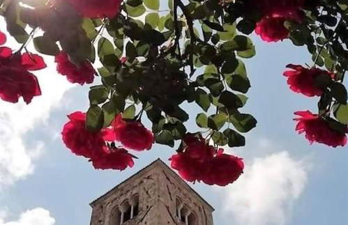 Nido d'amore - Foto 11