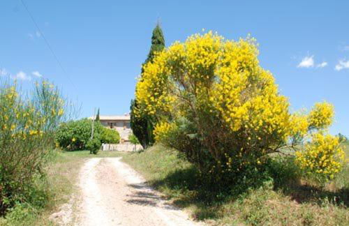 Country House Montecchio - Foto 25