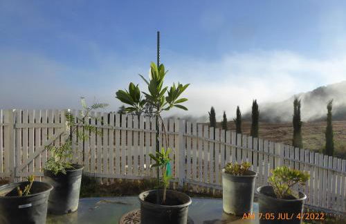 Mansion on the Hill let 4 Rooms, 5th cost extra - Foto 44