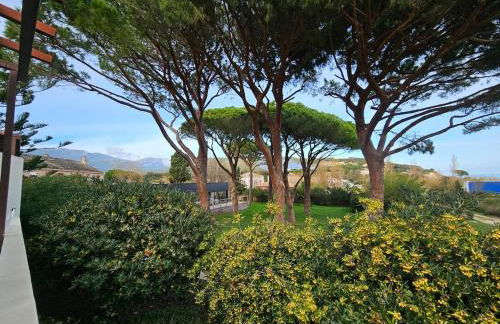 Domaine U Pozzu - Foto 13