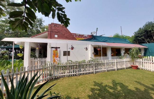 Koko's Farm - Foto 33