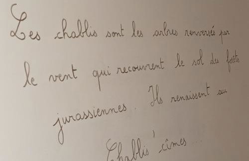 Le Chablis'cîmes - Foto 25