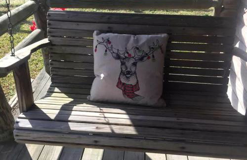 Rustic Cabin Rental on Secluded Farmland near Raleigh, North Carolina - Foto 10