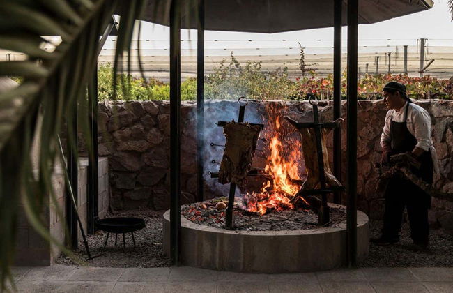 Tour por la zona vitivinícola de Maipú - Foto 10