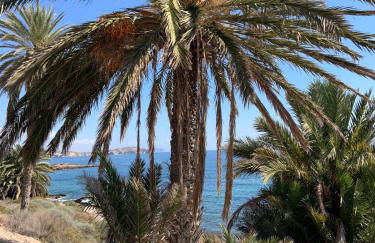 Casa Tranquila - Foto 38