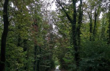 Green Garden Station - Photo 44