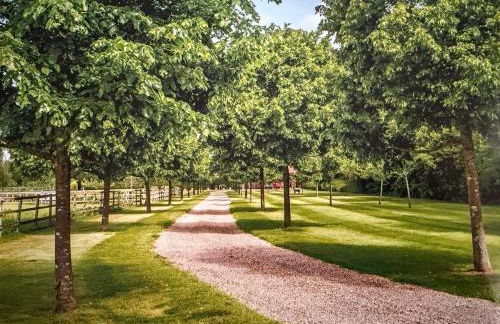 The Barn at Catley Cross House - Foto 8