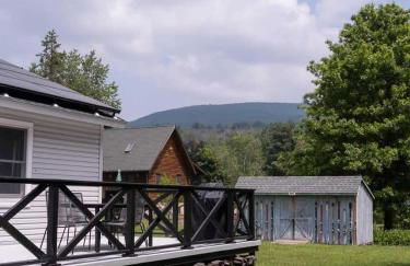 Hunter Mountain View Cabin - Foto 35