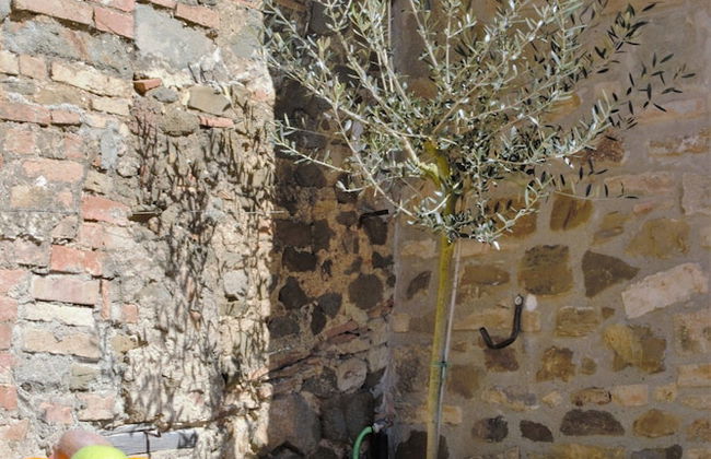 Il Palazzo Boutique B&B - Foto 52