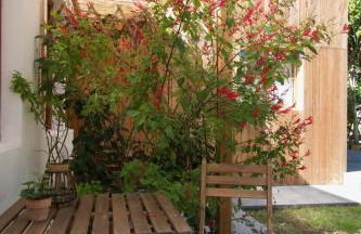 #Areias Houses 7 - Photo 21