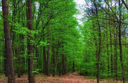 ArtHouse Pelnik - Photo 64