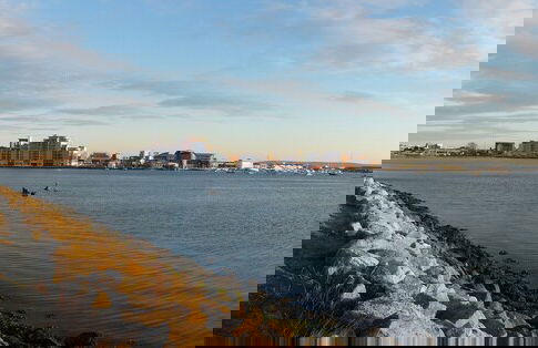 Zen Garden Cottage - Sleeps 2 - Patio & Parking - Foto 30