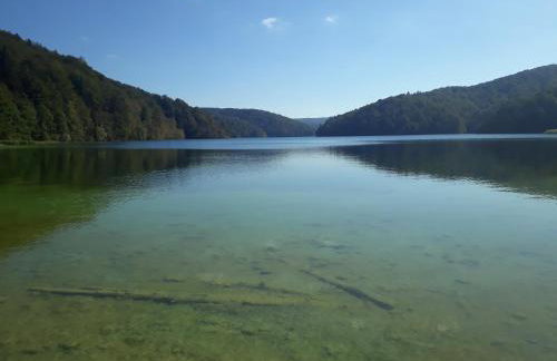 Apartman Peregrinus - Foto 39