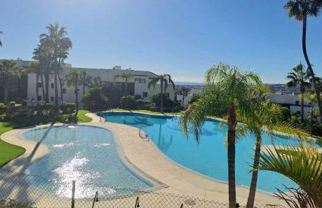 Noctua Flamingos 027 - Photo 9