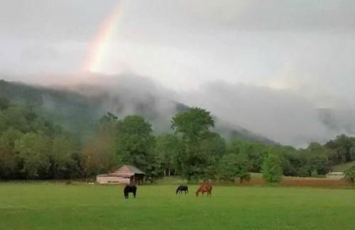 Country Mountain Escape! - Foto 14