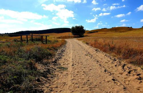 Insel Landhaus Feuerstein - Foto 71