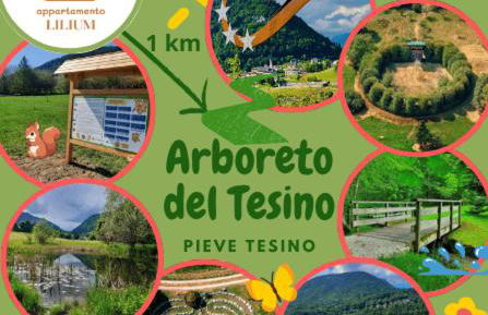 Appartamento LILIUM - Foto 21