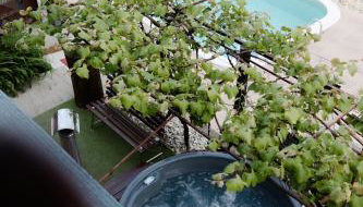 Villa Rossa - Foto 4