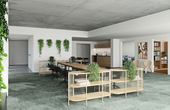 Toivo Studios - Foto 4