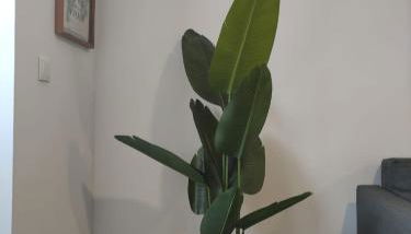 Fisherman's Inn - Foto 5