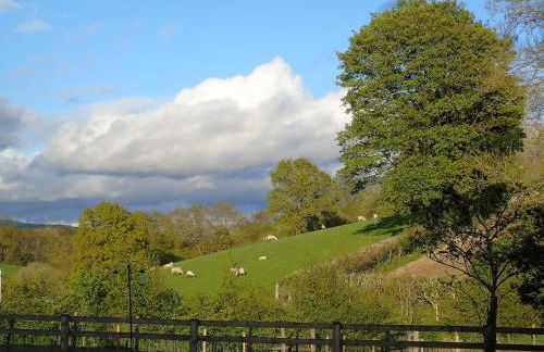 Gwilym's Stable - Foto 12