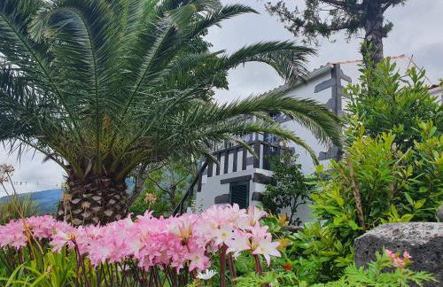 Casa do Gato Preto - Photo 4