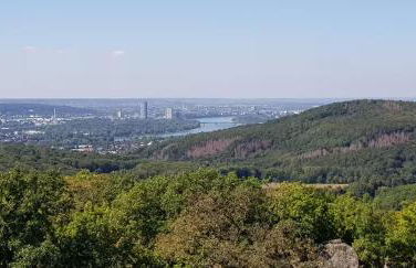 Ferienwohnung Bachstelze mit privater Terrasse - Foto 46
