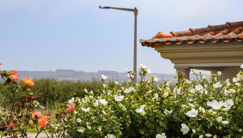 Casa do Limoeiro - Foto 3