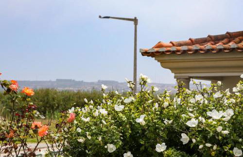 Casa do Limoeiro - Foto 3