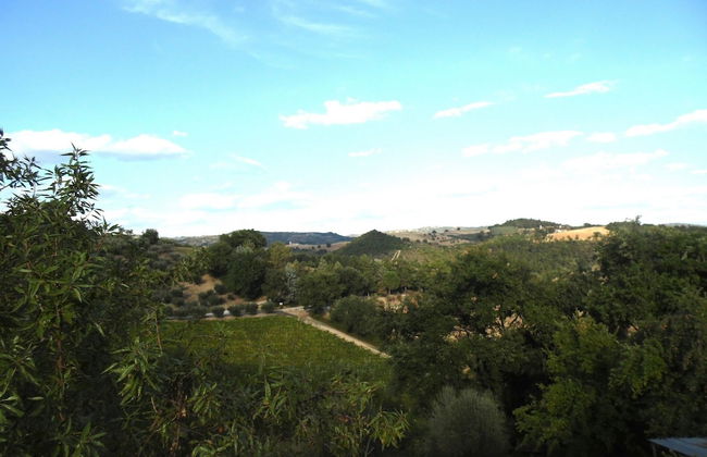 Podere Caldaruccio La Pineta - Foto 73