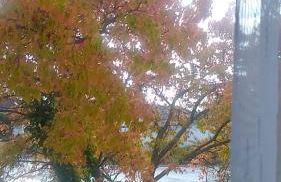 Ankommen und Wohlfühlen - Foto 24