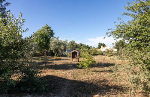 Quinta da Sra Marocas - Foto 34