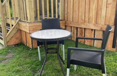 Pembrokeshire Shepherd hut with hottub - Foto 20