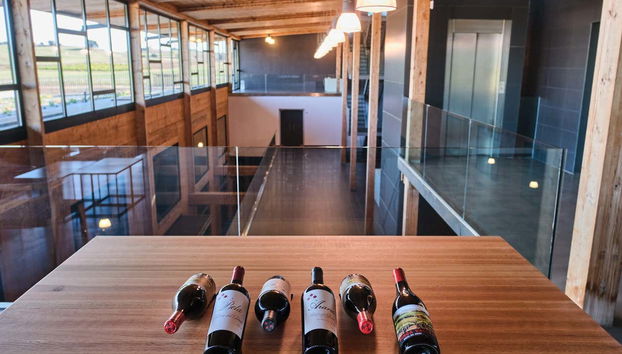 Interni della cantina