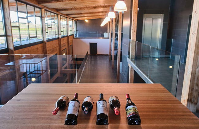 Visita a la bodega Bela - Foto 5